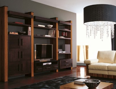 Veneer rack for living room